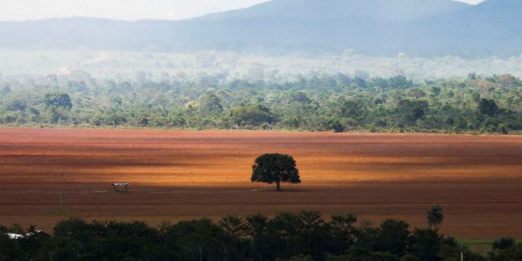 Foto: Marcelo Camargo/Agência Brasil