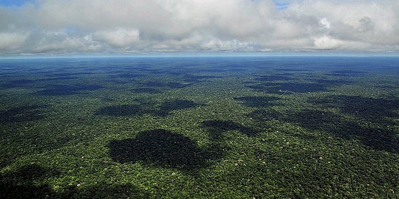 Amazônia sustentabilidade bioeconomia