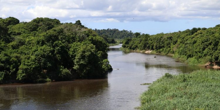 Rebio Poço das Antas. Foto: Wikiparques