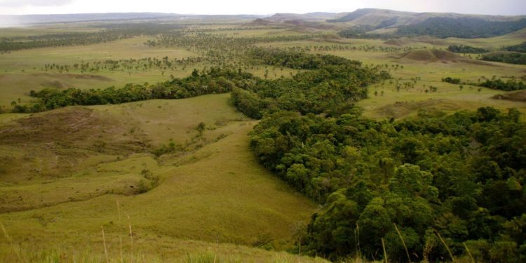 Cerca de 34% das áreas de Roraima ainda não estão destinadas ou não possuem informação de destinação. Foto: Wikimédia.