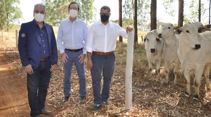 Fernando Camargo, secretário de Desenvolvimento Rural e Inovação do Mapa (à esquerda); Celso Moretti, presidente da Embrapa (ao centro); e Alok Sharma (à direita) durante visita | Foto: Divulgação/Embrapa Cerrados