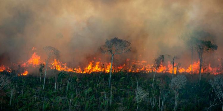 Monitoramento de Queimadas na Amazônia em Julho de 2021. Coluna de fogo avança sobre floresta degradada em Porto Velho, Rondônia. Foto: Christian Braga | Greenpeace