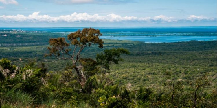 Parque Estadual de Monte Alegre (PEMA) - Foto: Fabíola Tuma/Arquivo pessoal