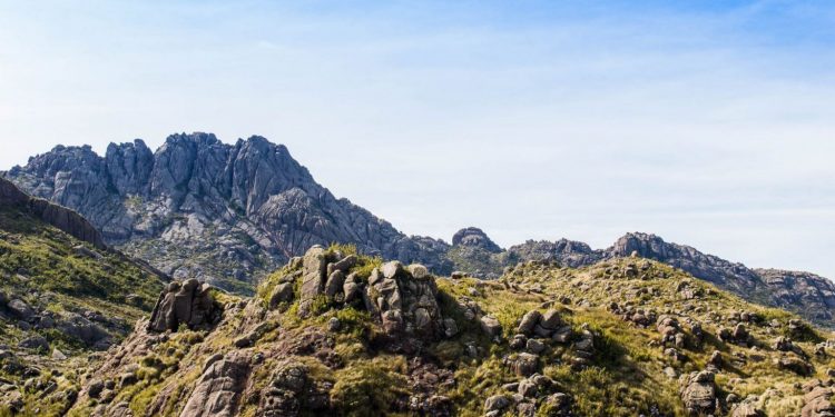 Parque Nacional do Itatiaia. Foto: Wikiparques