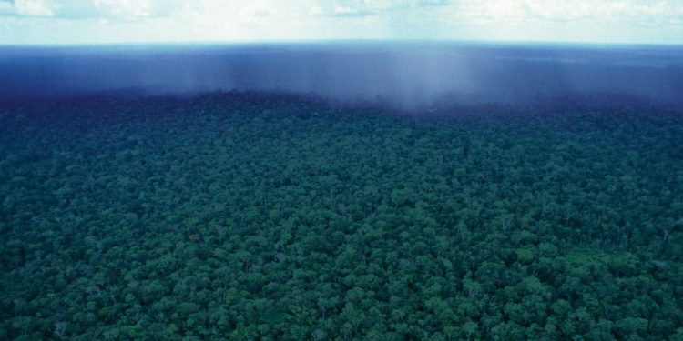 foto: José Caldas/Brazil Photos/LightRocket via Getty Images