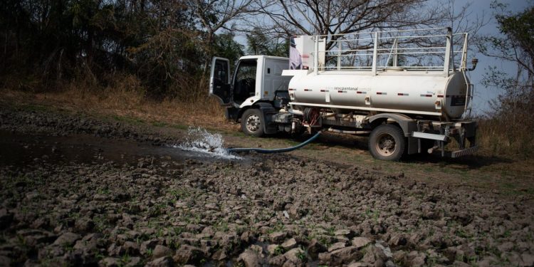 Água despejada para amenizar os efeitos da seca. Foto: Gabriel Schlickmann.