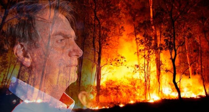 Bolsonaro e o incêndio na Floresta Amazônica (Foto: Montagem)