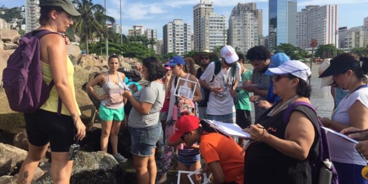 Estudo realizado em Santos por pesquisadores da Unifesp mostra resultados positivos ao unir sociedade civil e academia, indo ao encontro dos objetivos da Década do Oceano, da ONU (foto: Instituto do Mar/Unifesp)