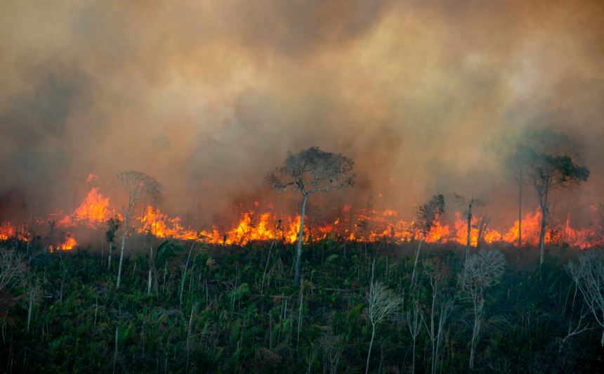 Queimadas Amazônia desmatamento Bolsonaro