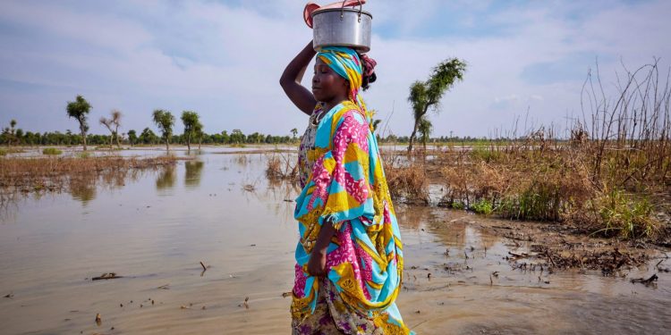 Uma mulher caminha por área alagada do campo de refugiados Yusuf Batir, em Maban, no Sudão do Sul, em 25 de novembro de 2019. Grandes áreas do leste do país foram afetadas por fortes chuvas naquele ano, deixando cerca de 420.000 pessoas desalojadas. Foto: Alex McBride / AFPUma mulher caminha por área alagada do campo de refugiados Yusuf Batir, em Maban, no Sudão do Sul, em 25 de novembro de 2019. Grandes áreas do leste do país foram afetadas por fortes chuvas naquele ano, deixando cerca de 420.000 pessoas desalojadas. Foto: Alex McBride / AFP