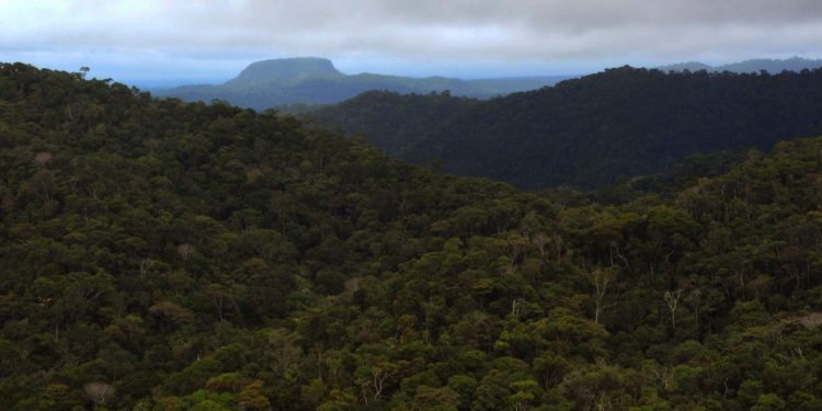 O Parque Nacional da Serra do Divisor poderá ser cortado ao meio se a expansão da BR-364 for aprovada. Foto: Marllus de Almeida/WikiParques