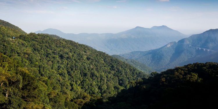 Paisagem da Serra do Mar vista pela rodovia Anchieta. Foto: Isac Nóbrega/PR