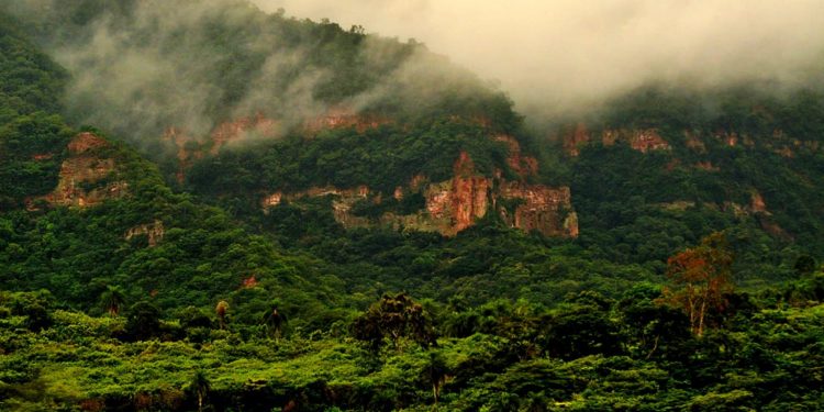 A Flona do Araripe-Apodi é uma das UCs da Caatinga incluída na nova fase do Adote um Parque. Foto: ICMBio/DIvulgação