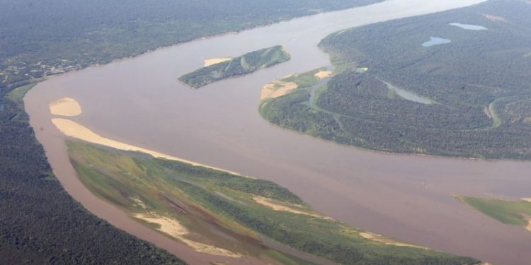 Amazônia: fundo deverá ser transformar em lei pelo Congresso (Antonio Cruz/Agência Brasil)