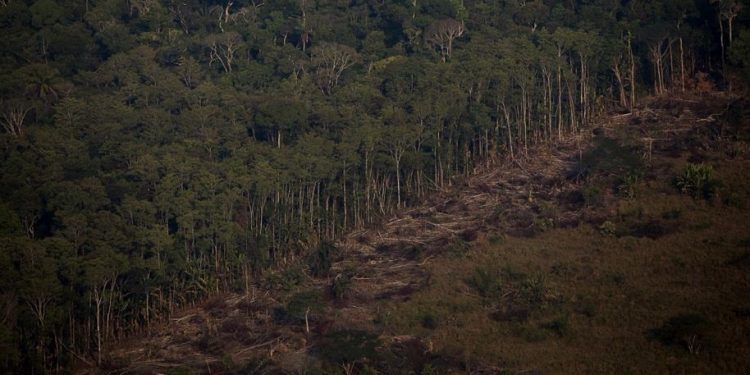 Área de desmatamento vista próxima a capital Porto Velho, em Rondônia, em agosto de 2020. Foto: Bruno Kelly/Amazônia Real