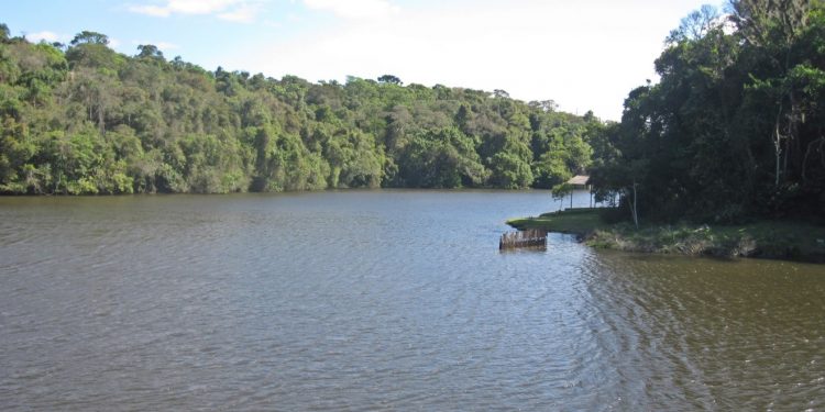 Barragem da Graça, parte do Sistema Alto Cotia, na Reserva do Morro Grande. Foto: Victor de Andrade Lopes/Wikimedia.