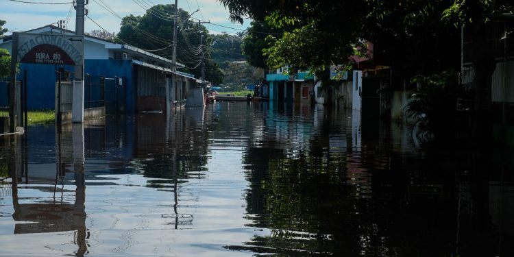 Cheia histórica no rio Negro, em maio de 2021. Foto: Alberto César Araújo/Amazônia Real.