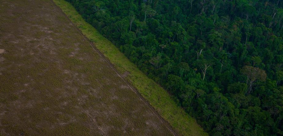 Fiocruz relação entre desmatamento e transmissão de doenças na Amazônia