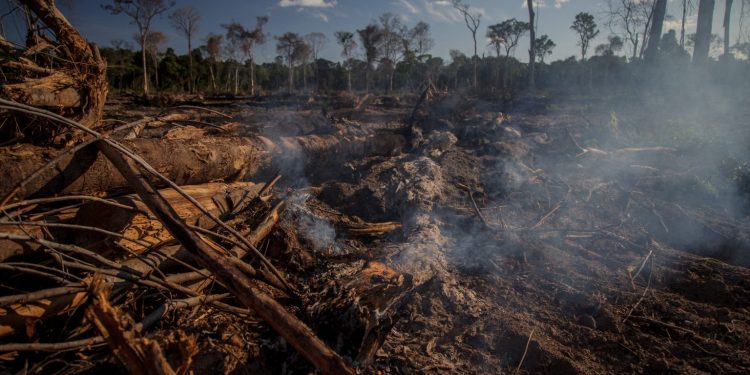 Inclusão de dados de emissão por uso da terra empurra país para o alto do ranking. Foto: Márcio Isensee e Sá.