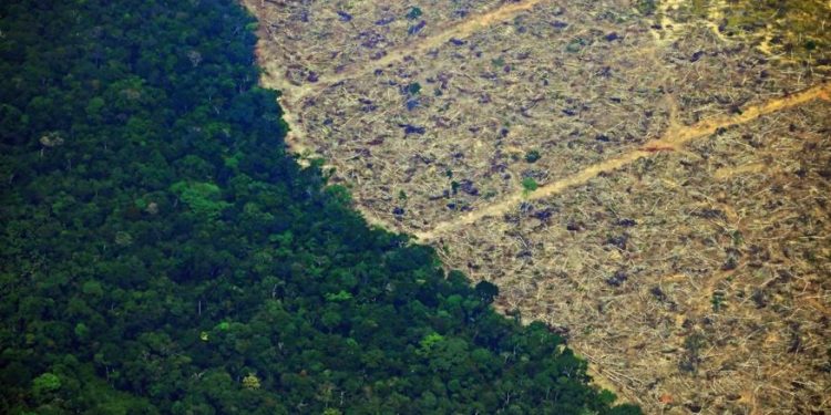 Desmatamento na Amazônia bateu novo recorde em fevereiro de 2022. Foto: Carl de Souza/AFP