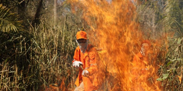 Brigadista no combate às chamas que assolaram o Pantanal em 2020. Foto: Lawrence Wahba