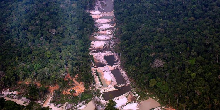 Desmatamento e garimpo ilegal na terra indígena munduruku, munici­pio de Jacareacanga – Foto: Marizilda Cruppe/Amazonia Real