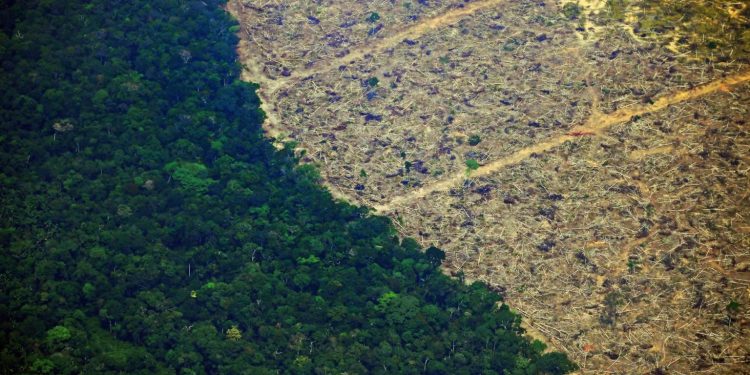 Alertas de desmatamento na Amazônia chegou a 8.590 km² em 2022. Foto: Carl de Souza/AFP