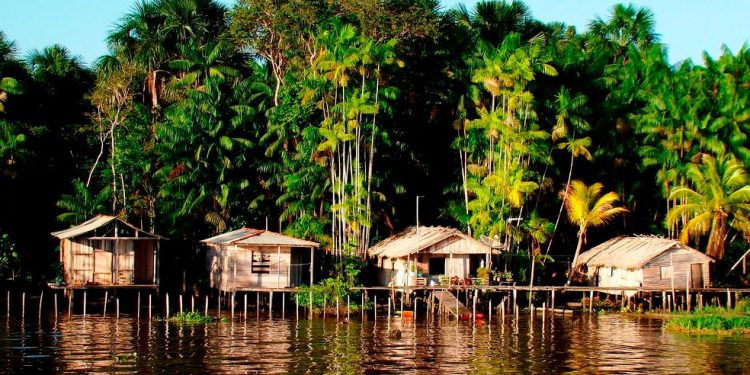 Amazônia profunda