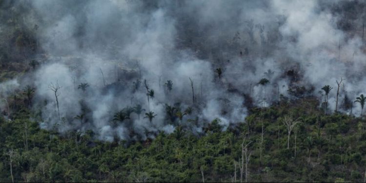 Vista aérea de um desmatamento na Amazônia para expansão pecuária, em Porto Velho, Rondônia. Crédito: © Victor Moriyama / Amazônia em Chamas