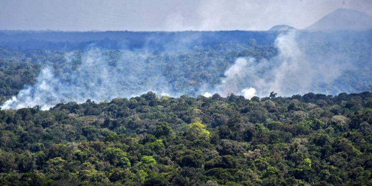 Área de floresta sendo queimada em Oiapoque, Amapá, em novembro de 2020. Foto: Nelson Almeida/AFP