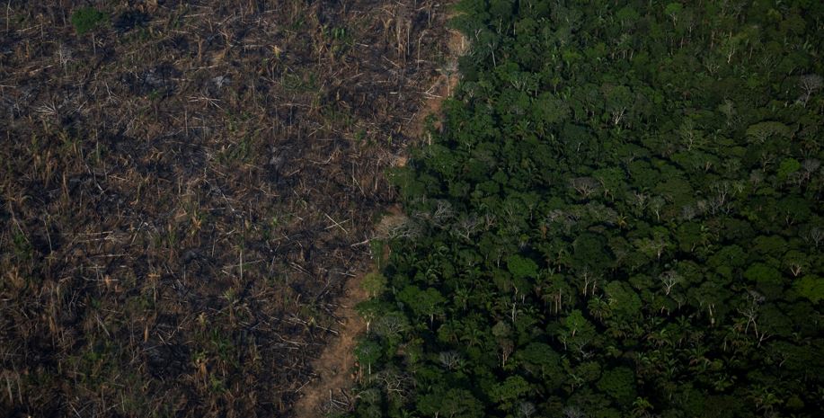 Desmatamento Amazônia agro agronegócio Lula