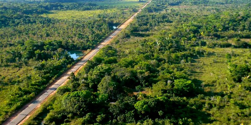 Nova indústria Brasil e o Guaraná do Amazonas