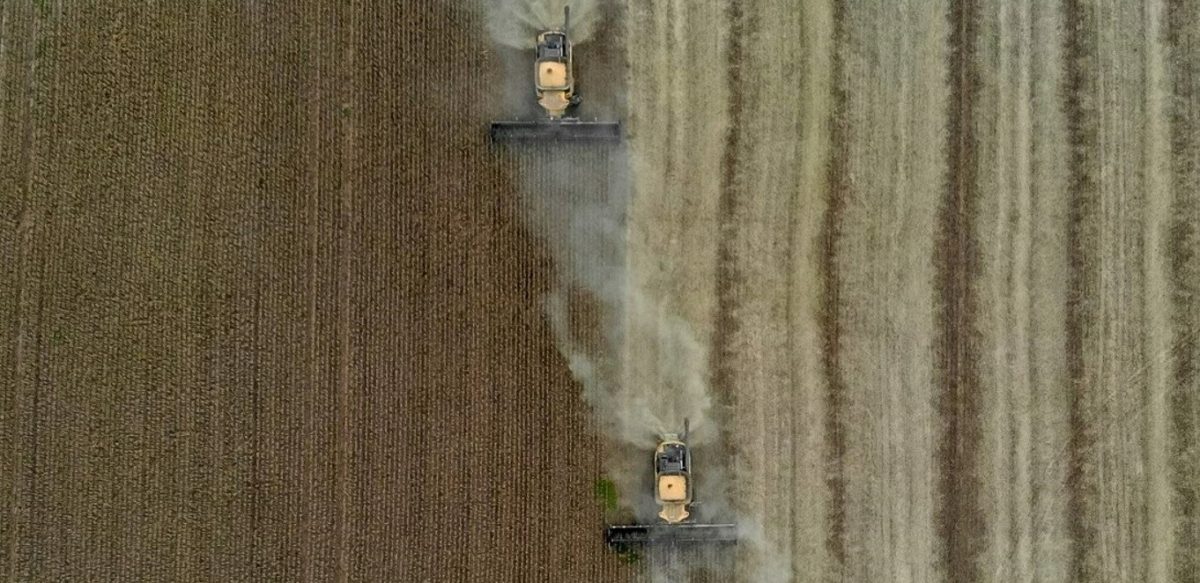 Colheita de soja no Rio Grande do Sul. Foto: Silvio Avila/AFP 