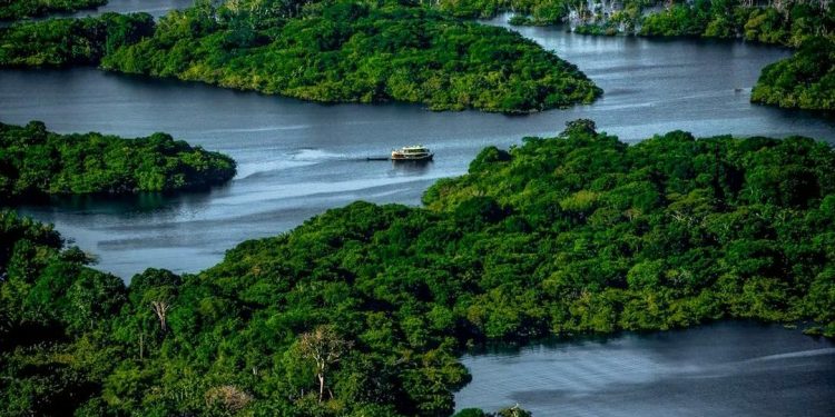 anavilhanas futuro da Amazônia