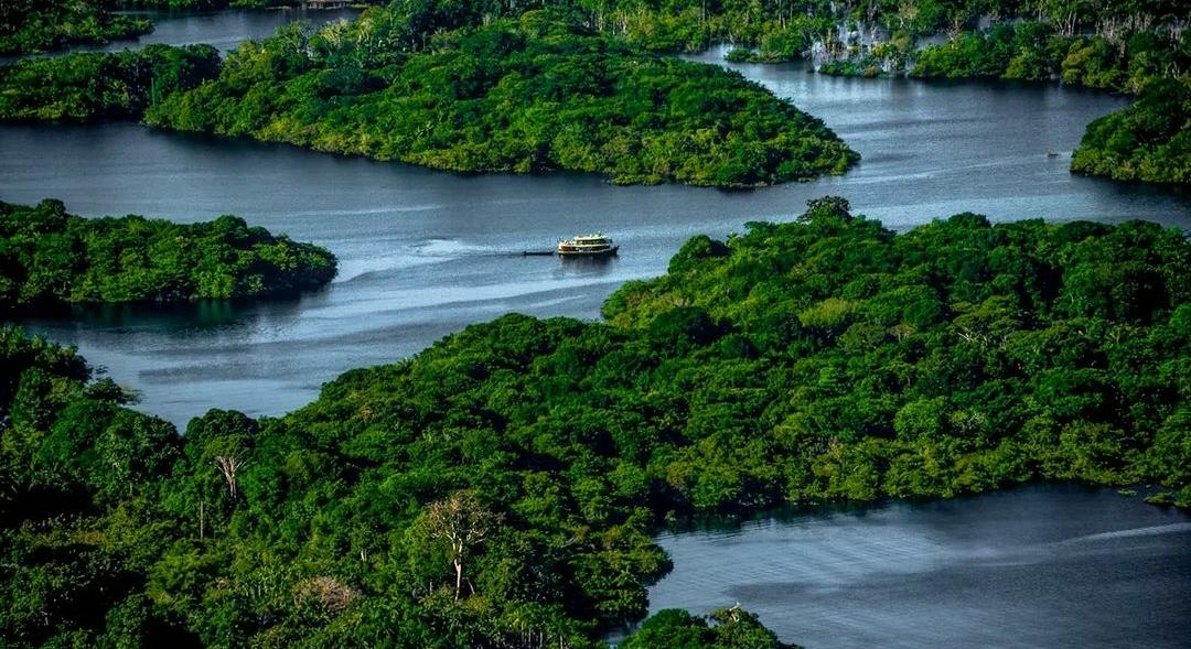 anavilhanas futuro da Amazônia