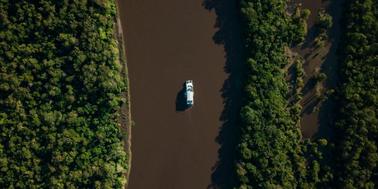 Amazônia - foto: Senai