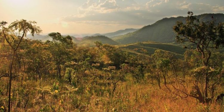 Serra do Tombador, no Cerrado, é uma das reservas particulares que pertencem à Fundação Grupo Boticário