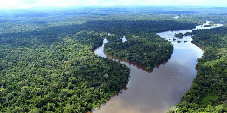 Contato com não indígenas seria um "desastre", diz especialista - Ideflor Bio/Fotos Publicas