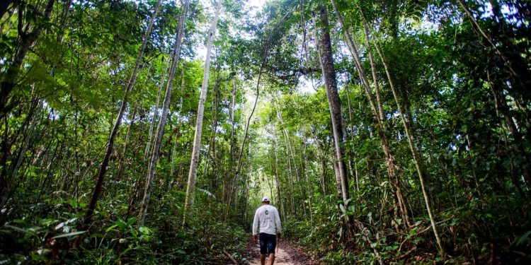 Amazônia