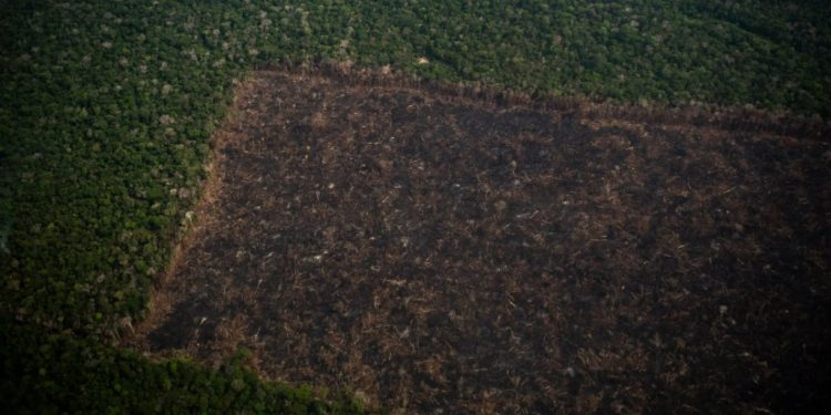 Área desmatada em Lábrea. Foto: Mauro Pimentel/AFP.