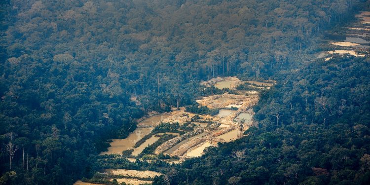 Garimpo ilegal na Terra Indígena Munduruku, município de Jacareacanga (Pará): estudo aponta que 47% do ouro extraído no Brasil tem indícios de ilegalidade (Foto: Marizilda Cruppe / Amazônia Real / Amazon Watch – 17/09/2020)