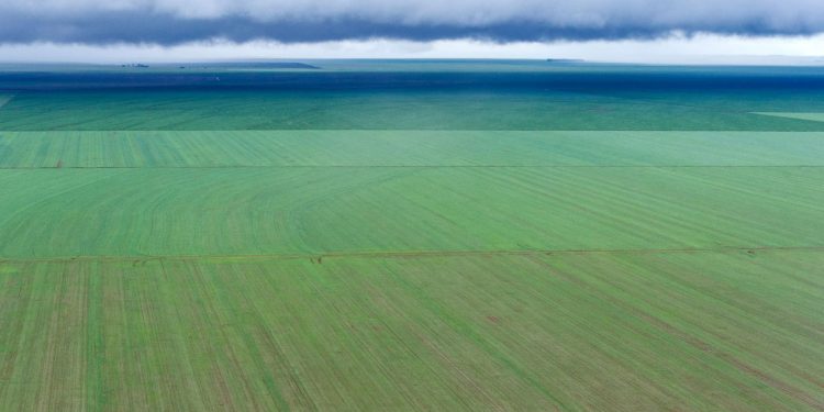 Plantação de soja a perder de vista no Mato Grosso. Foto: Yasuyoshi Chiba/AFP