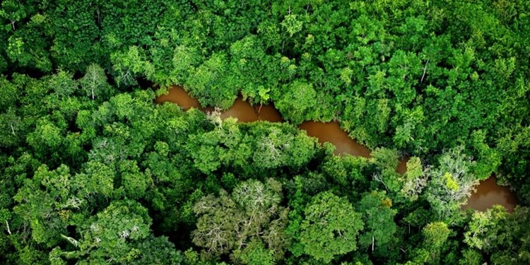 Amazônia