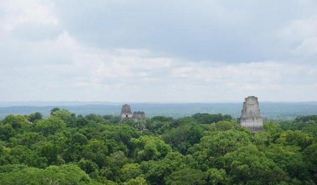 Petén, na Guatemala. Na Reserva da Biosfera Maia, comunidades indígenas protegem e fazem o manejo sustentável de cerca de 450 mil hectares de ecossistemas florestais. (Foto: PIM/FTA)