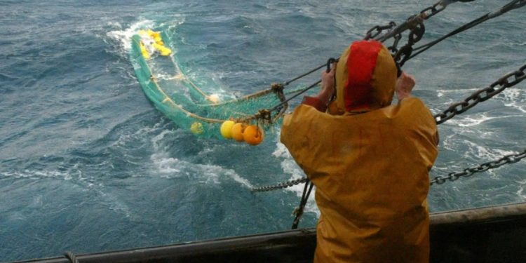 Pesca de arrasto em Cork, na Irlanda. Marcel Mochet/AFP.