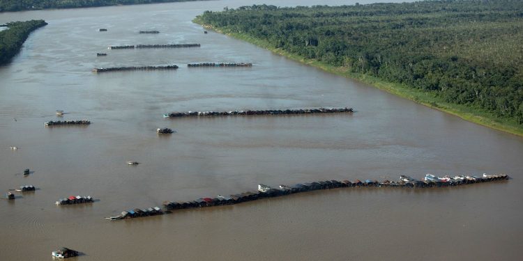 Foto: Bruno Kelly/Greenpeace/AFP