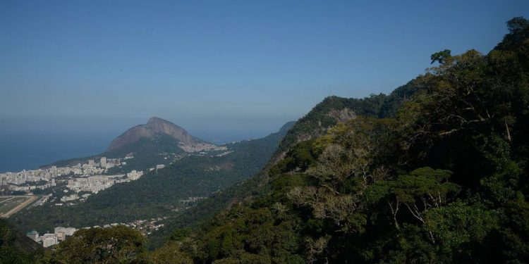 Rio de Janeiro - O morro Dois Irmãos visto do Parque Nacional da Tijuca, durante mutirão de plantio de mudas de espécies nativas na nascente do Rio Carioca (Fernando Frazão/Agência Brasil)