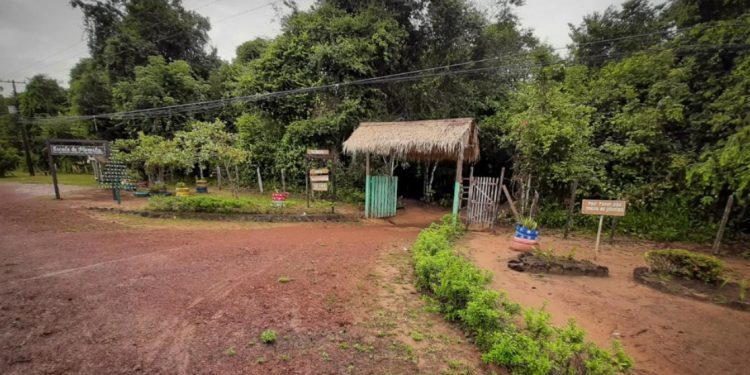 Entrada da Escola da Floresta, localizada na rodovia PA 457, em Santarém-PA, mais especificamente na comunidade de Caranazal, dentro da APA Alter do Chão. Foto: Victor Sousa