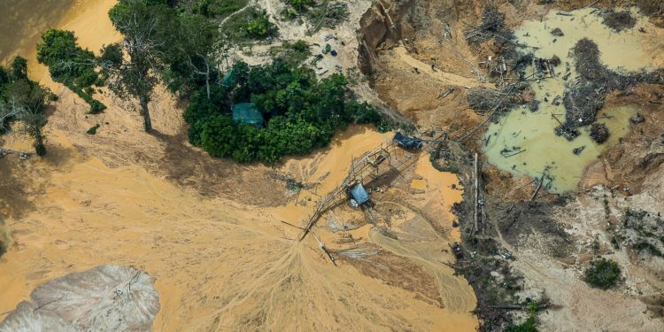 garimpo amazônia tráfico de drogas