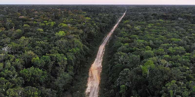 br-319 Amazônia desmatamento